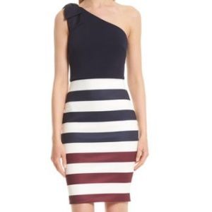 Ted Baker Hilila Rowing dress size 6